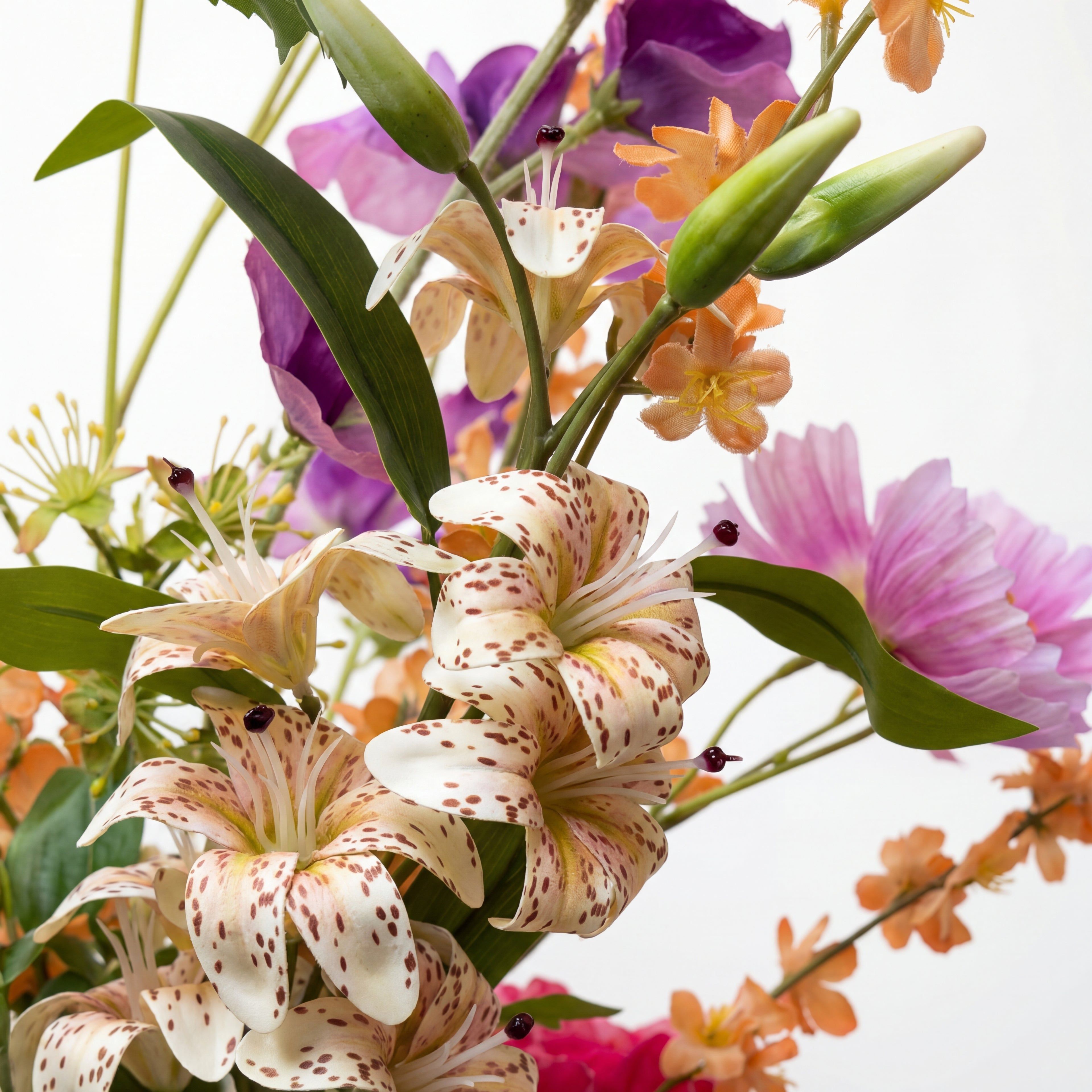 Maison Fleuré - No. 16